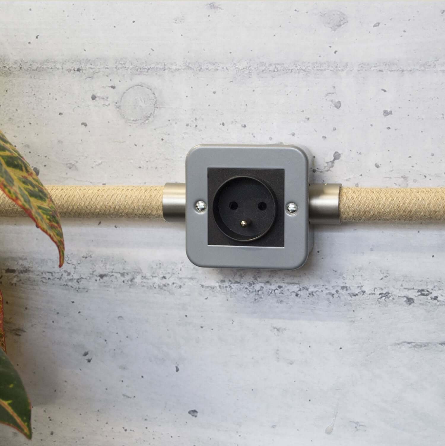 Metal wall box with French socket for Creative-Tube - Image 3